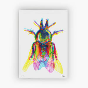 'IRIDESCE': Light Reactive Drawing – Fine Art Giclée Print on Archival Paper, Limited Edition of 50, A1, A2 and A3, Signed & Numbered