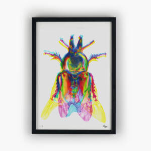 Limited-Edition Prints