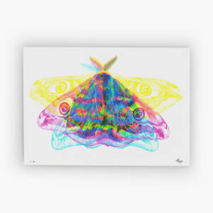'TOWARDS LIGHT': Light Reactive Drawing – Fine Art Giclée Print on Archival Paper, Limited Edition A1, A2 and A3, Signed & Numbered